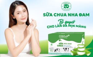 Sữa chua nha đam COBOVA bí quyết cho làn da mịn màng