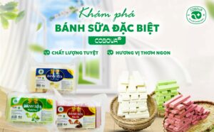 Khám Phá Hương Vị Bánh Sữa Đặc Biệt COBOVA