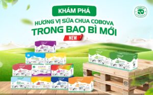 Khám phá hương vị sữa chua COBOVA trong bao bì mới