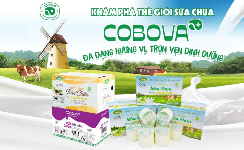 Khám phá thế giới sữa chua COBOVA đa dạng hương vị, trọn vẹn dinh dưỡng