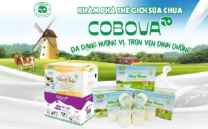 Khám phá thế giới sữa chua COBOVA đa dạng hương vị, trọn vẹn dinh dưỡng