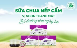 Sữa chua nếp cẩm COBOVA vị ngon thanh mát, bổ dưỡng cho ngày hè