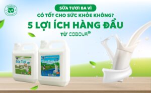 Sữa tươi Ba Vì có tốt cho sức khỏe không?