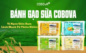 Bánh gạo sữa COBOVA vị ngon giòn rụm, lành mạnh từ thiên nhiên