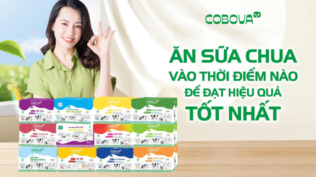 Ăn sữa chua COBOVA vào thời điểm nào đạt hiệu quả tốt nhất