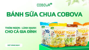 Bánh sữa chua COBOVA thơm ngon, lành mạnh cho cả gia đình