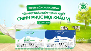 Bộ đôi sữa chua COBOVA có đường và không đường, ngọt ngào và thanh khiết