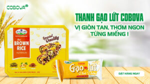 Thanh gạo lứt COBOVA, ăn là mê