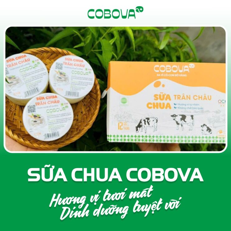 Sữa chua trân châu COBOVA